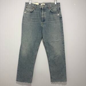 AGOLDE 90's Pinch Waist High Rise Straight Jeans Rumi Size 32